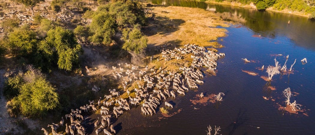 01 Meno a Kwena Boteti River