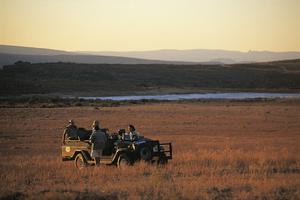 Wilderness drive from Bushmans Kloof