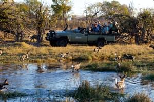 Game Drive From Splash Camp