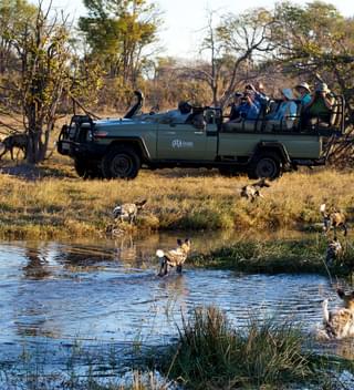 Game Drive From Splash Camp