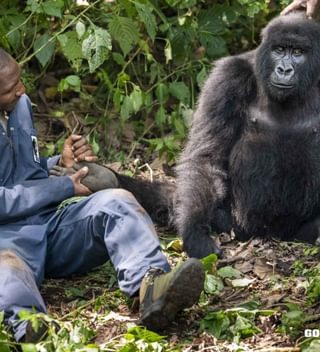 1 Dr Eddy Examines Ndakasi Foot Feb 2020 Logo 1 Dr Eddy Examines Ndakasi Foot Feb 2020 Logo