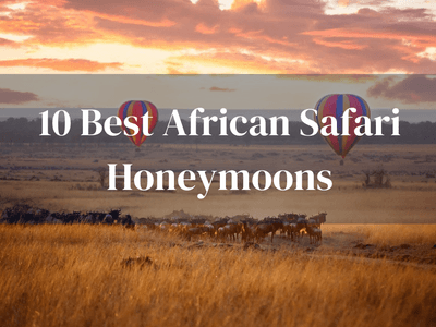 10 Best Safari Honeymoons