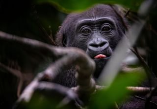 Biet Medhane Alem Biet Medhane Alem