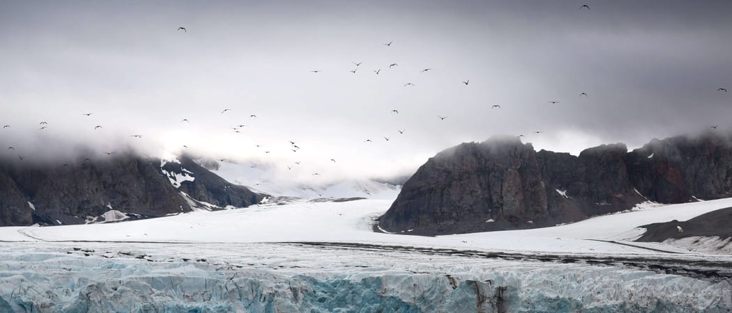 14th of July Glacier Kongsfjorden Spitsbergen Arctic Polar Geert Kroes Oceanwide Expeditions