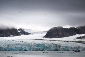 14th of July Glacier Kongsfjorden Spitsbergen Arctic Polar Geert Kroes Oceanwide Expeditions