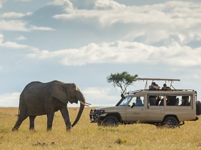 191024 Kenya 0322 191024 Kenya 0322