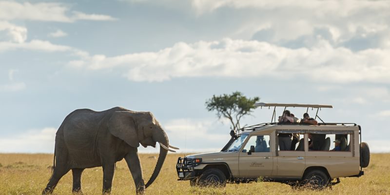 191024 Kenya 0322 191024 Kenya 0322