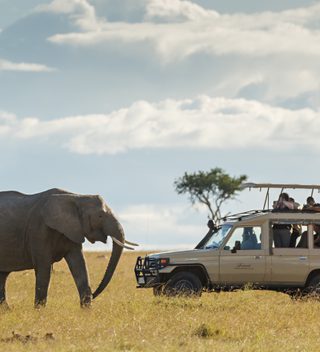 Elephant and vehicle on game drive Kenya Elephant and vehicle on game drive Kenya