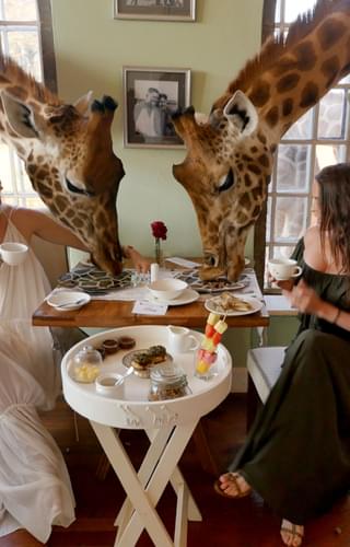 Giraffe Manor Dining