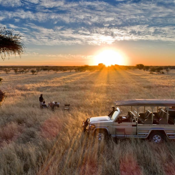 1b Etosha Game Drive resized