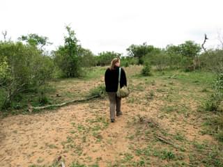Bush Walking In Swaziland