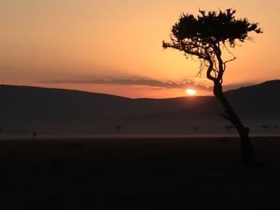 Sunrise Over The Plains In Mara North