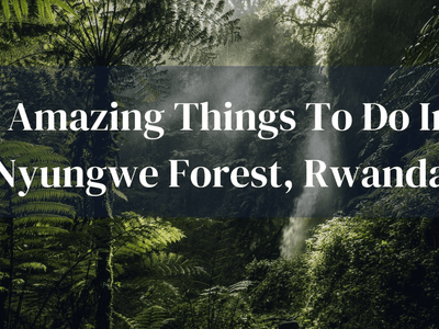 5 Amazing Things To Do In Nyungwe Forest