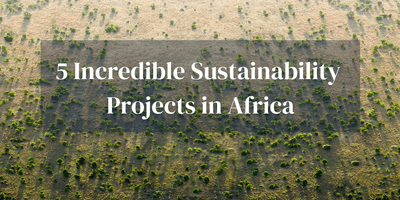 5 Incredible Sustainability Projects Africa