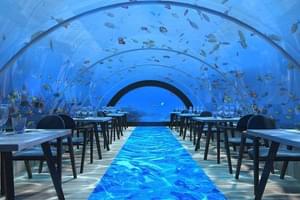 5 8 Undersea Restaurant