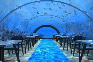 5 8 Undersea Restaurant 5 8 Undersea Restaurant