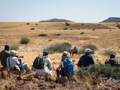 7 Damaraland Rhino Tracking 7 Damaraland Rhino Tracking
