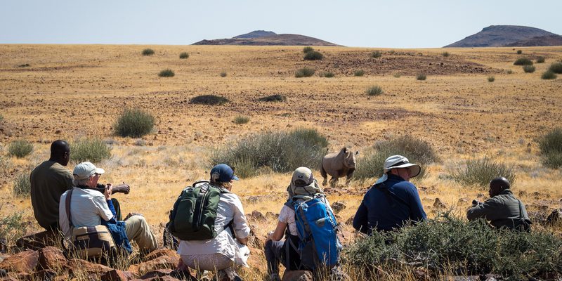 7 Damaraland Rhino Tracking 7 Damaraland Rhino Tracking
