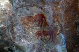 San Bushman Rock Painting