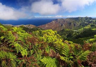 A post box walk on St Helena A post box walk on St Helena