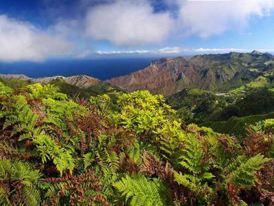 A post box walk on St Helena A post box walk on St Helena