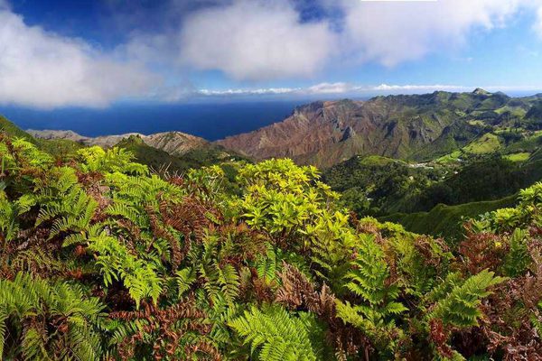 A post box walk on St Helena A post box walk on St Helena