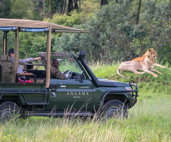 Angama Mara Angama Safari In Action