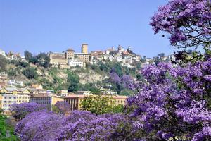 Antananarivo  Jacarandas  Mada  Tourism