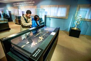 Addis Museum Eto Paleontology Addis Museum Eto Paleontology