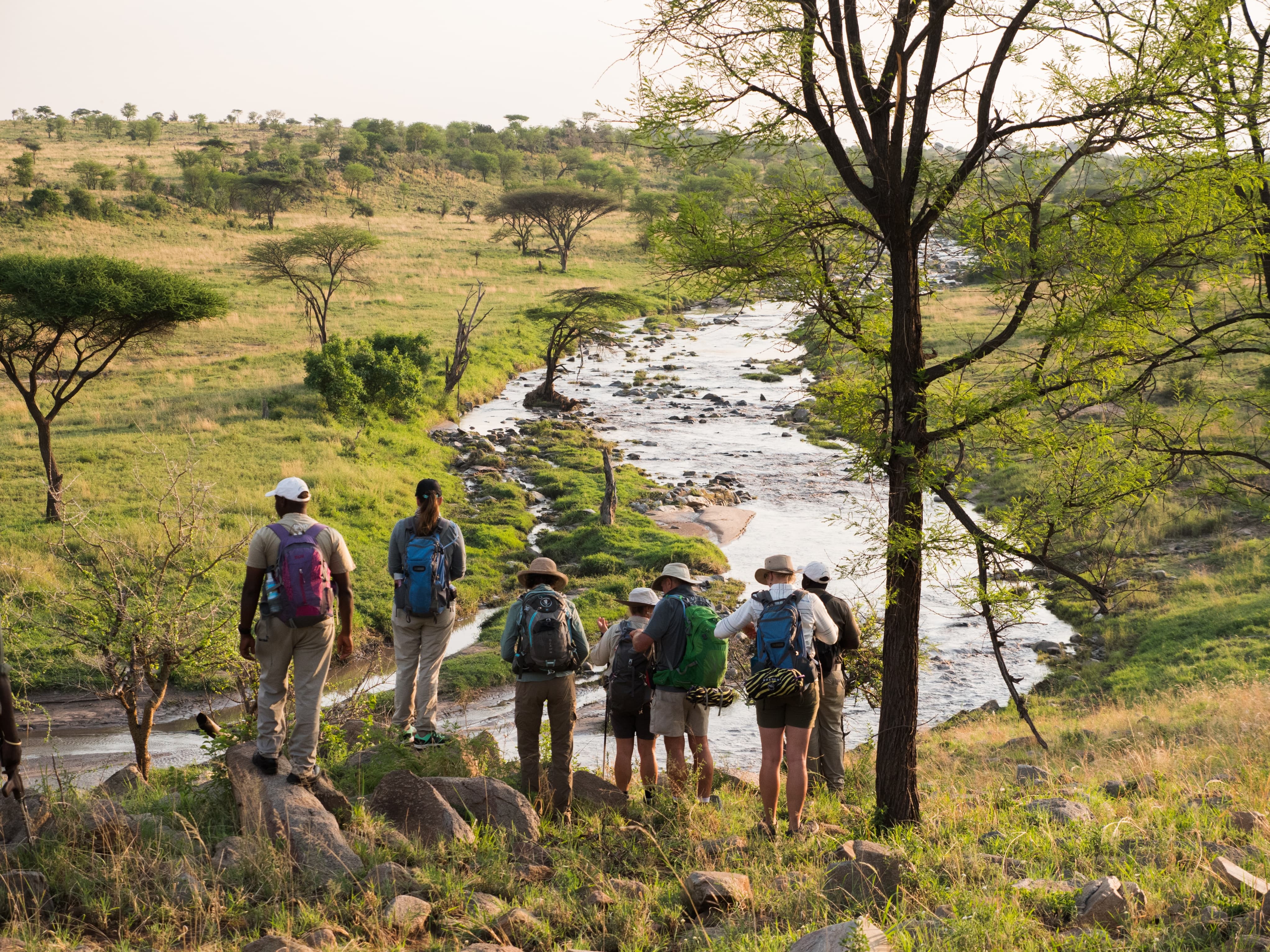 Admiring-the-view-on-a-Serengeti-Trekking-Safari-with-WAYO.jpg#asset:116608