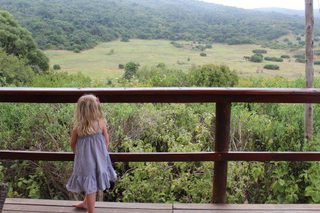 Admiring The View Admiring The View