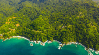 Aerial view of Tobago cays in St Vincent and the Grenadines Canva Pro Aerial view of Tobago cays in St Vincent and the Grenadines Canva Pro