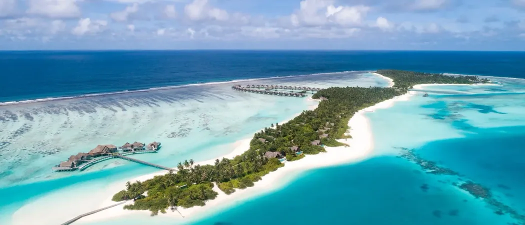 Aerial Niyama Website