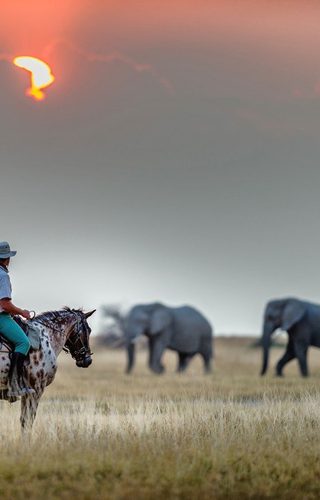 African Horse Safaris