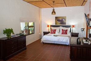 African Vineyard Bedroom African Vineyard Bedroom