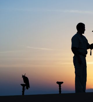 Al  Maha  Falconry Al  Maha  Falconry