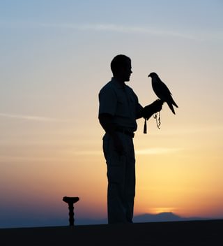 Al Maha Falconry Al Maha Falconry