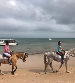 Ali Walls Horseback Beach Ali Walls Horseback Beach