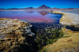 Alitplano Andes Bolivia min Alitplano Andes Bolivia min