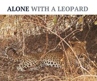 Alone with a leopard Alone with a leopard