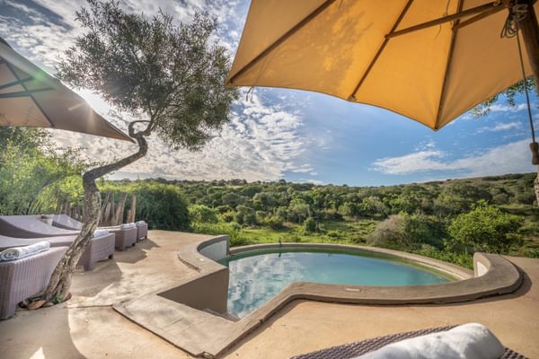Amakhala Safari Lodge 2 Amakhala Safari Lodge 2