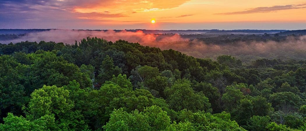 Amazon rainforest