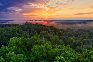 Amazon rainforest Amazon rainforest