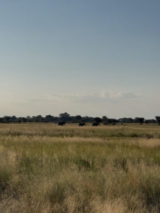 Angola 4 Angola 4