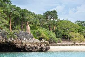 Anjajavy Le  Lodge Baobabs  Louise  Jasper