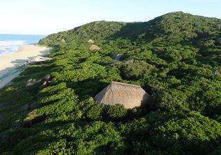 Anvil  Bay  Dune  Forest