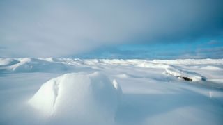 Arctic landscape canva pro Arctic landscape canva pro
