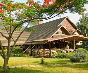 Arumeru  River  Lodge In  Tanzania