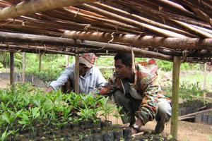 Association Mitsinjo Reforestation Scheme Association Mitsinjo Reforestation Scheme