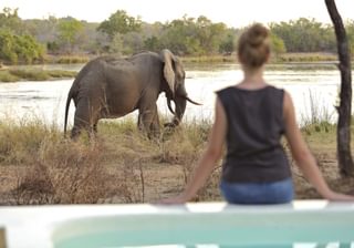 Azura Selous Elephant In Front Of A Villa Azura Selous Elephant In Front Of A Villa
